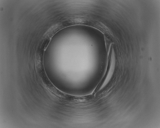 X0000073510552200608211742