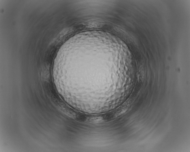 X0000073510554200608211742