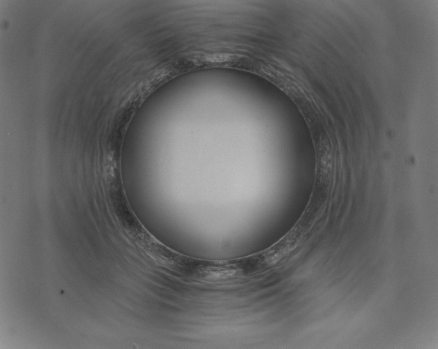 X0000073510555200608211742