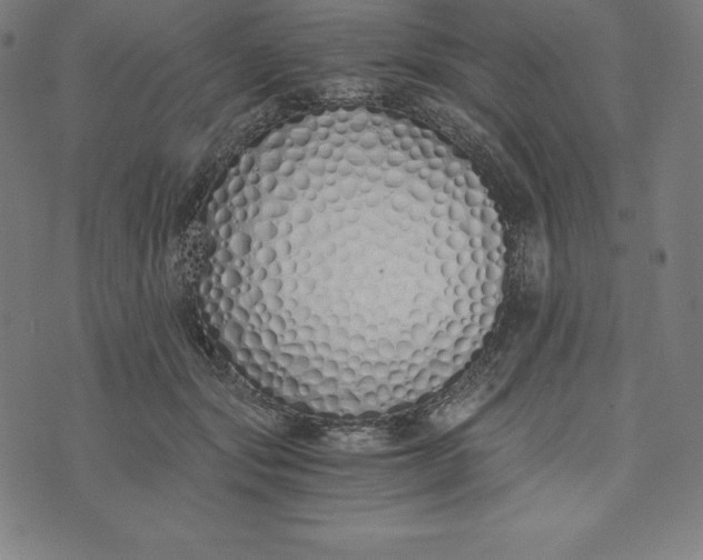 X0000073510557200608211742