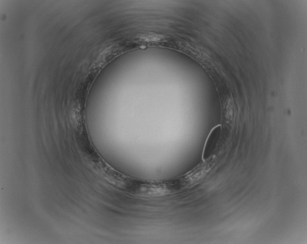 X0000073510559200608211742