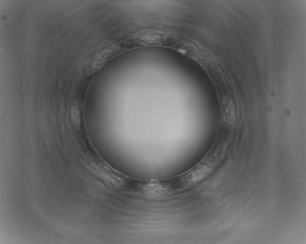 X0000073510562200608211742