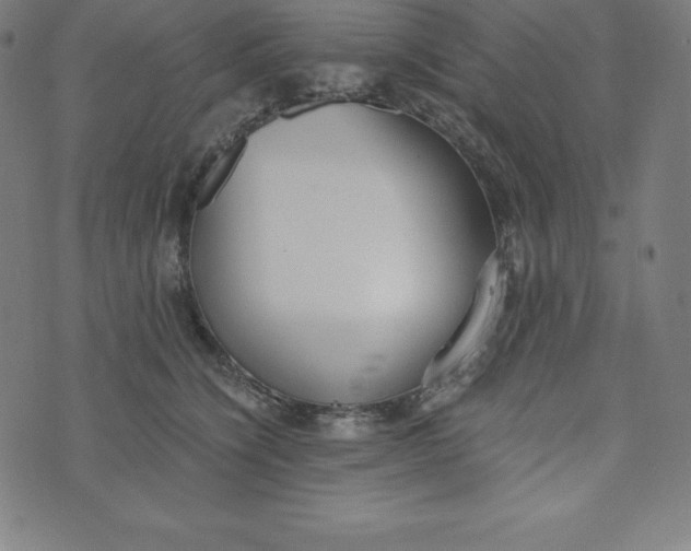 X0000073510564200608211742