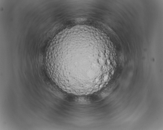 X0000073510565200608211742
