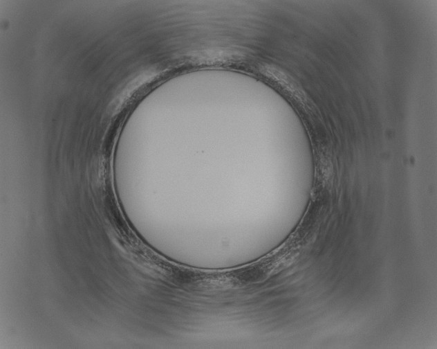 X0000073510583200608211742