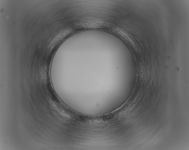 X0000073510586200608211742