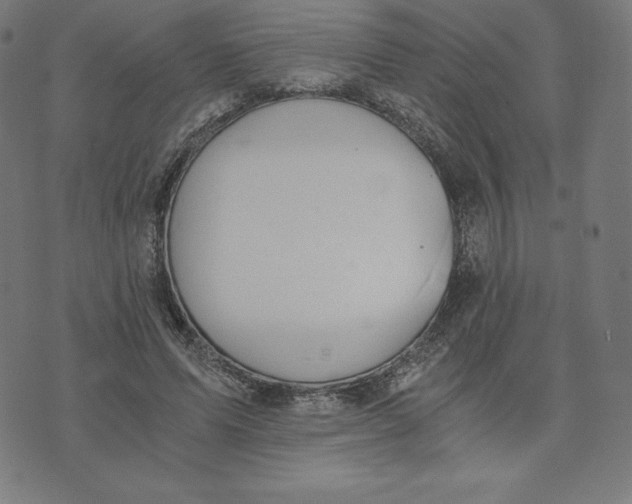 X0000073510591200608211742