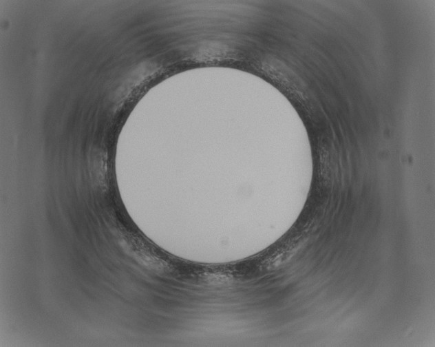 X0000073510592200608211742