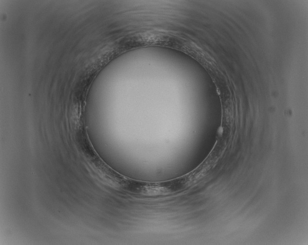 X0000073510605200608211741