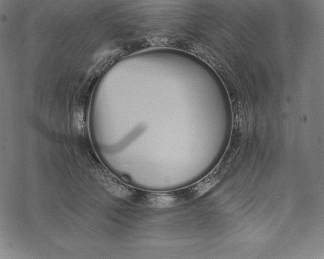 X0000073510610200608211741