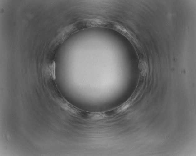 X0000073510621200608211741
