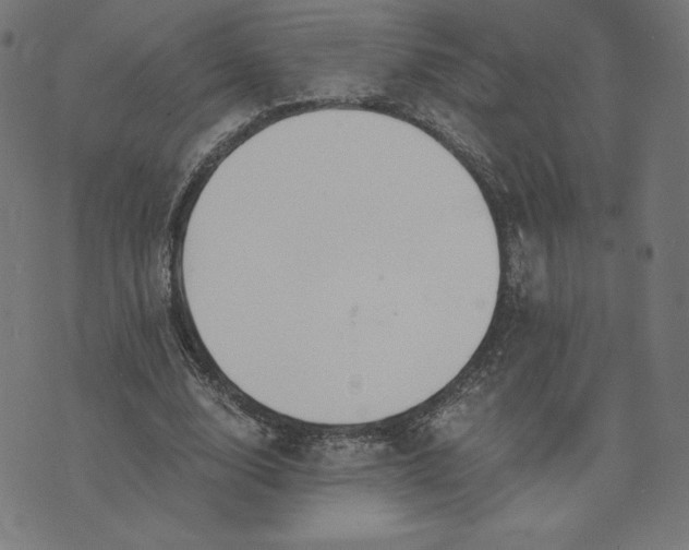 X0000073510632200608211740