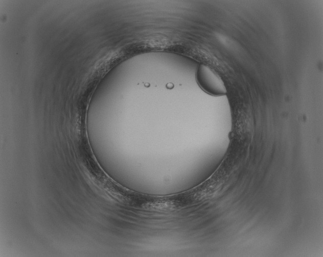 X0000073510639200608211741
