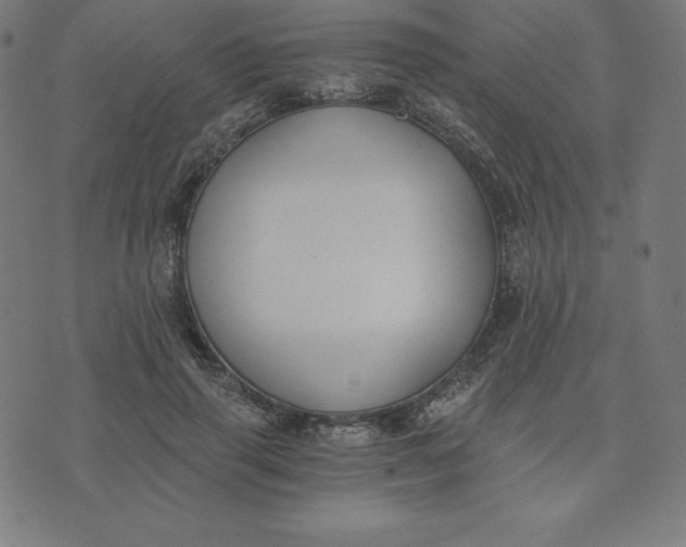 X0000073510645200608211741