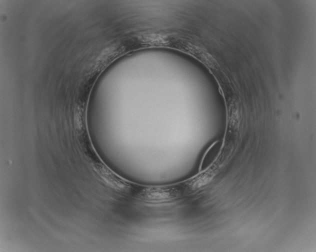 X0000073510658200608211741