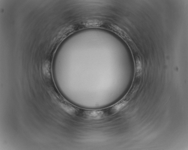 X0000073510663200608211741