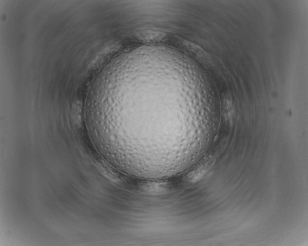 X0000073510664200608211741