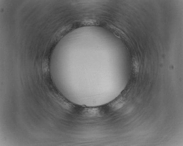 X0000073510665200608211741
