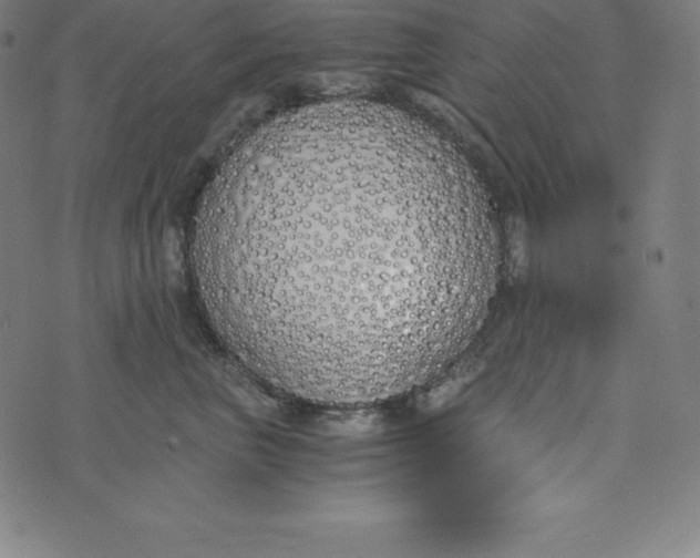 X0000073510667200608211741