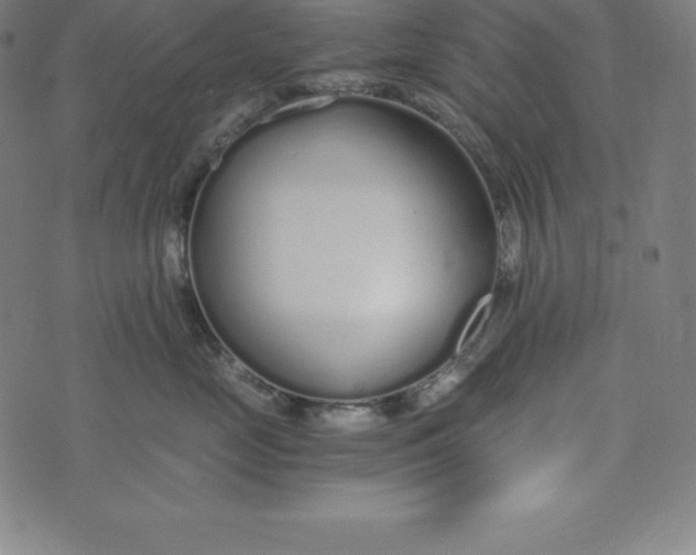 X0000073510669200608211741