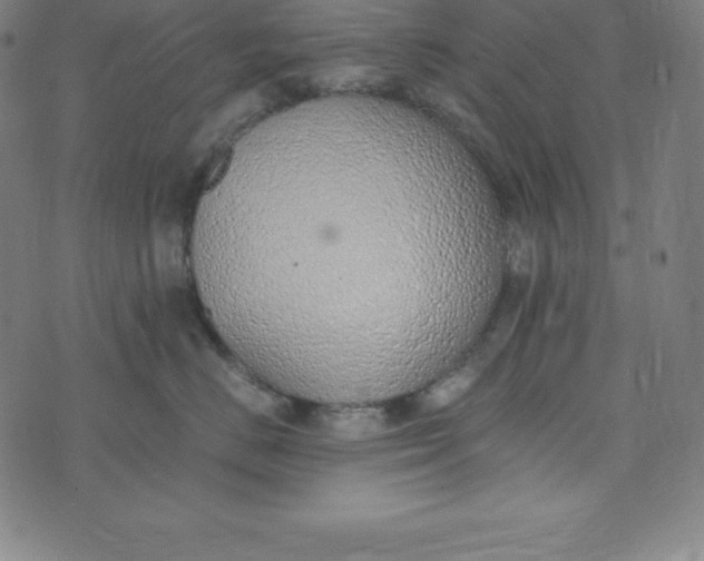 X0000073510670200608211741