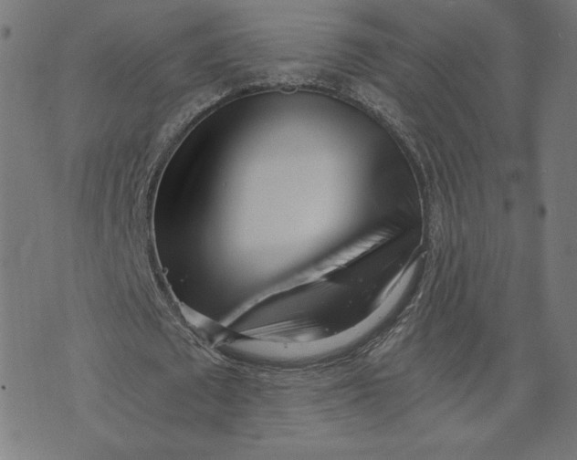 X0000073510673200608211740