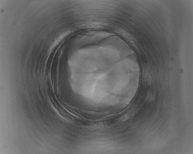 X0000073510674200608211740