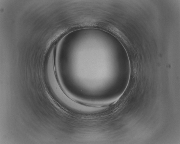 X0000073510677200608211740