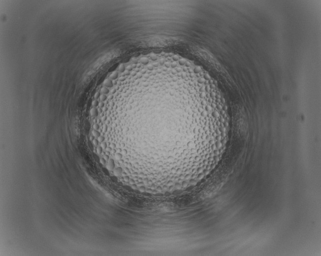 X0000073510683200608211740