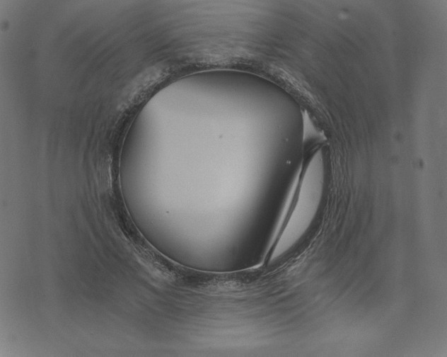 X0000073510685200608211740
