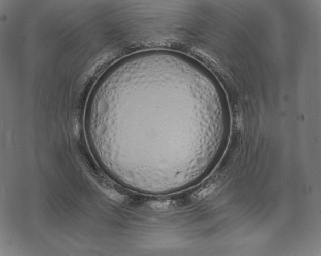 X0000073510687200608211740