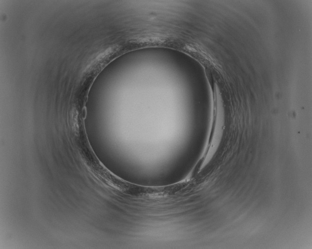 X0000073510692200608211740
