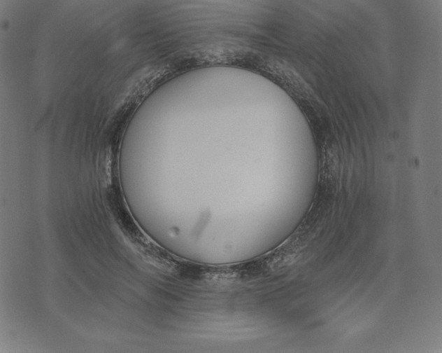 X0000073510694200608211740