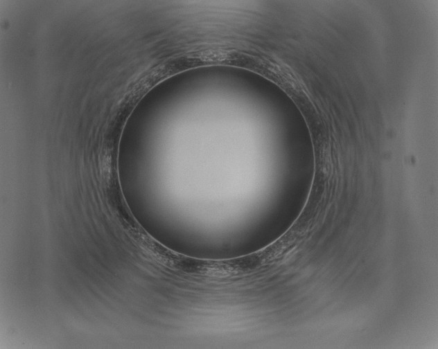 X0000073510697200608211740