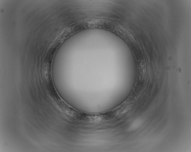 X0000073510698200608211740