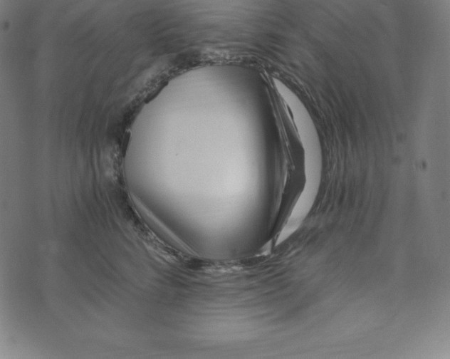 X0000073510712200608211740