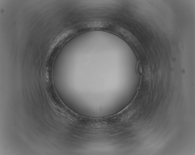 X0000073510731200608211739
