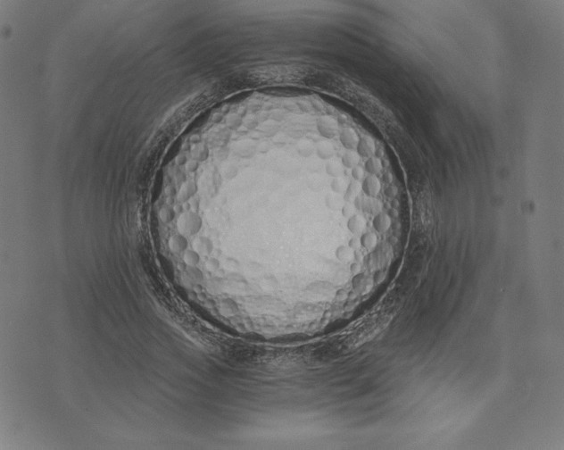 X0000073510733200608211739