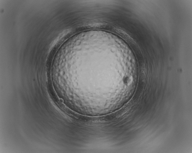 X0000073510734200608211739