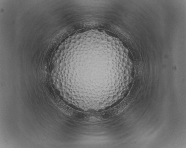 X0000073510737200608211739