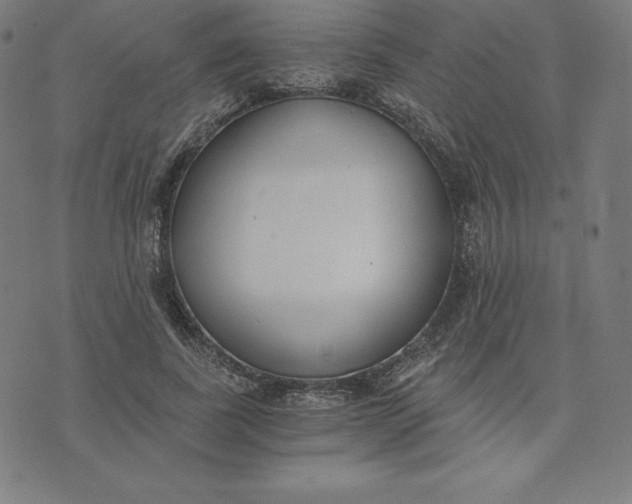 X0000073510739200608211739