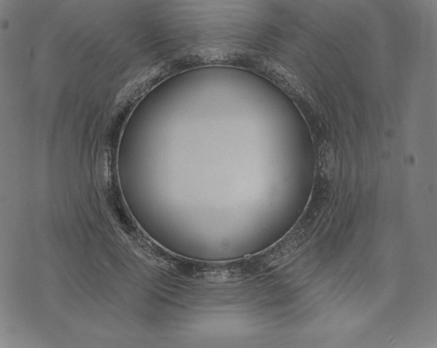 X0000073510740200608211739