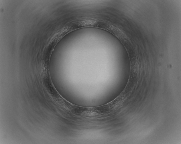 X0000073510743200608211739