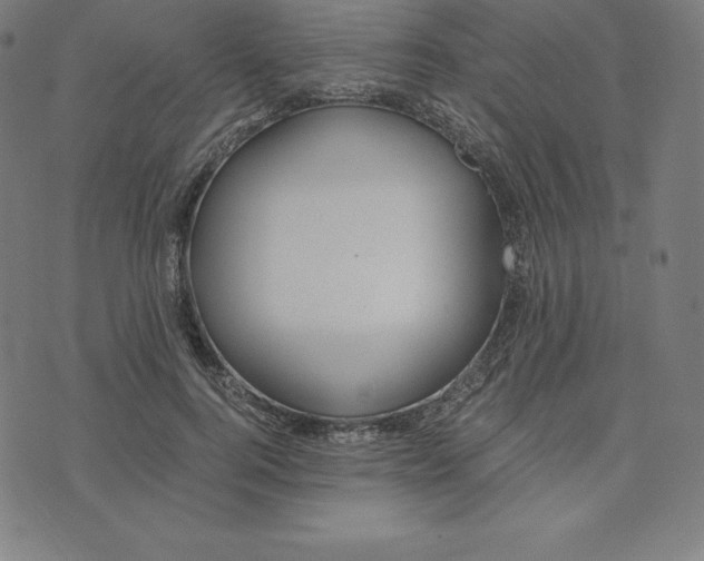 X0000073510744200608211739