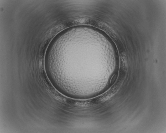 X0000073510745200608211739