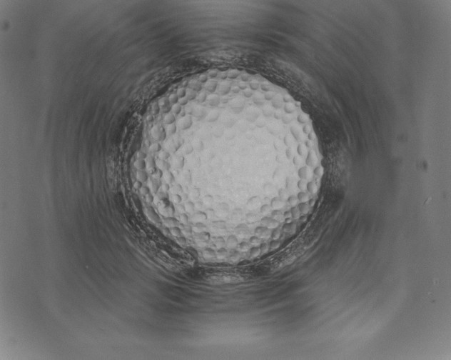 X0000073510749200608211739