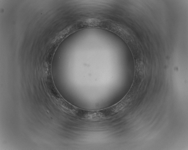 X0000073510752200608211739