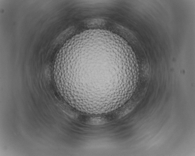 X0000073510753200608211739