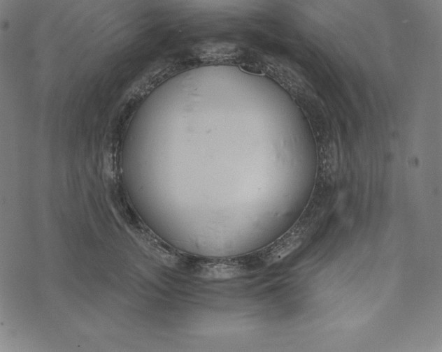 X0000073510755200608211739
