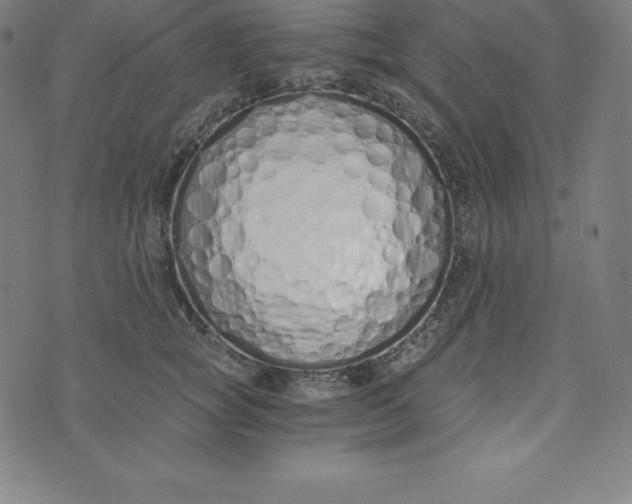 X0000073510757200608211739